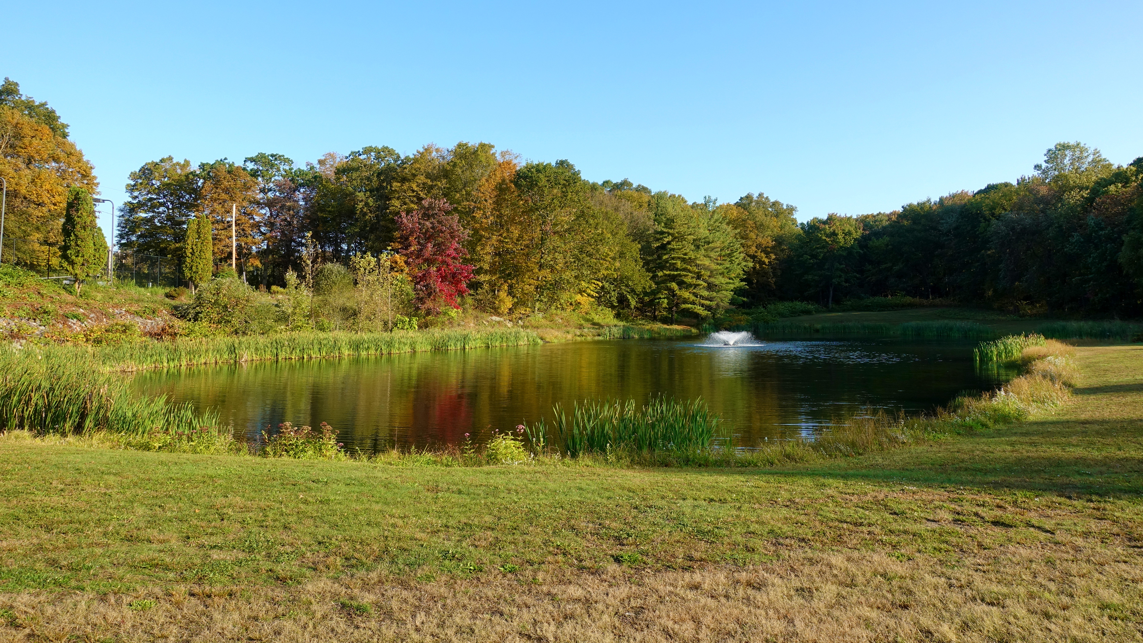 View of the pond at McGrath Park in Prospect, Connecticut