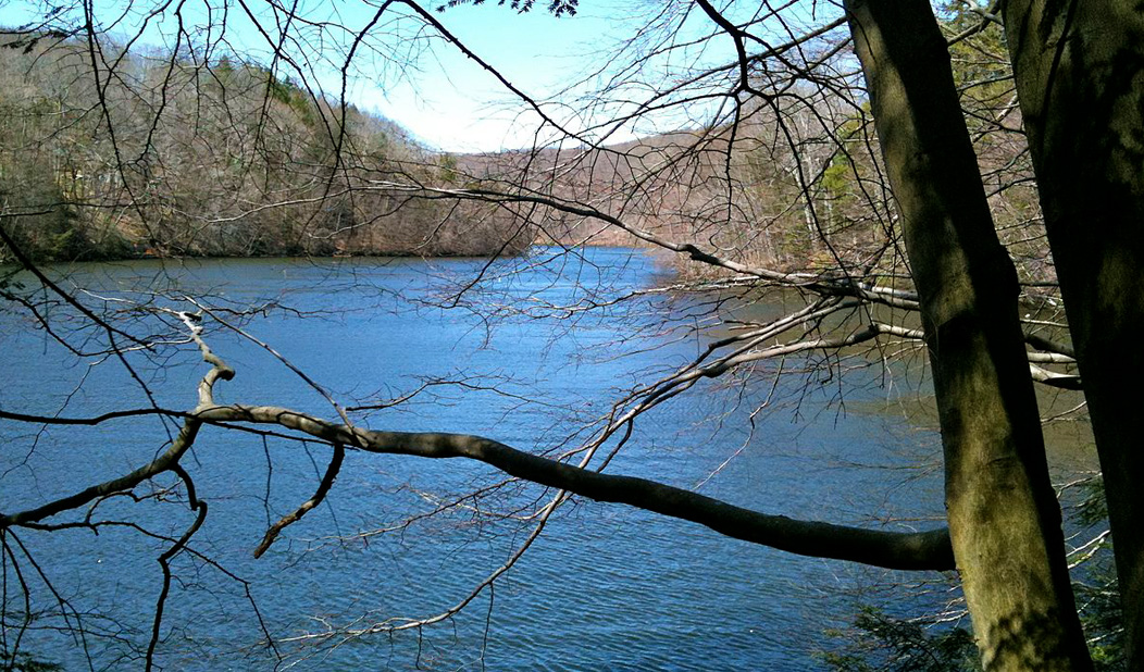 View through the trees of Paugussett State Forest in Oxford, Connecticut