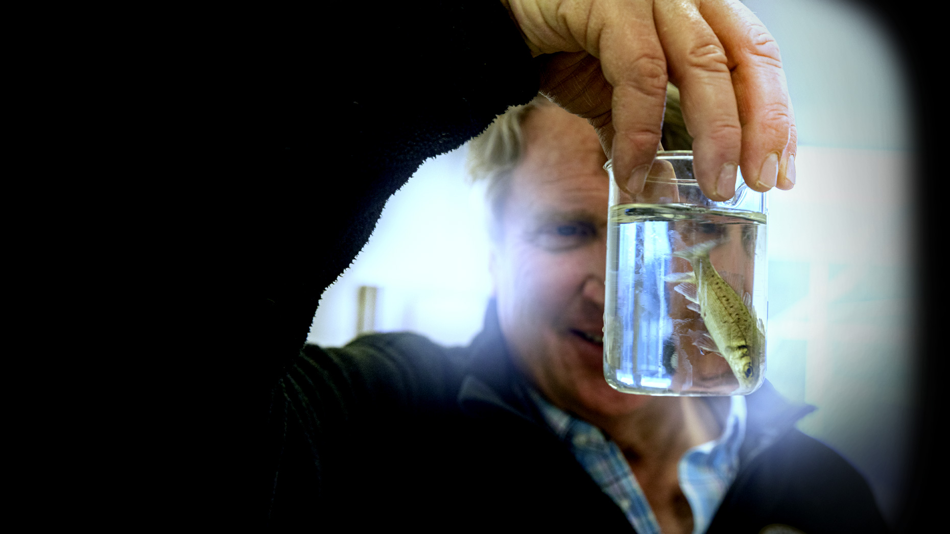 Eric Pedersen looks at one of his branzino in a beaker at the Ideal Fish facility in Waterbury