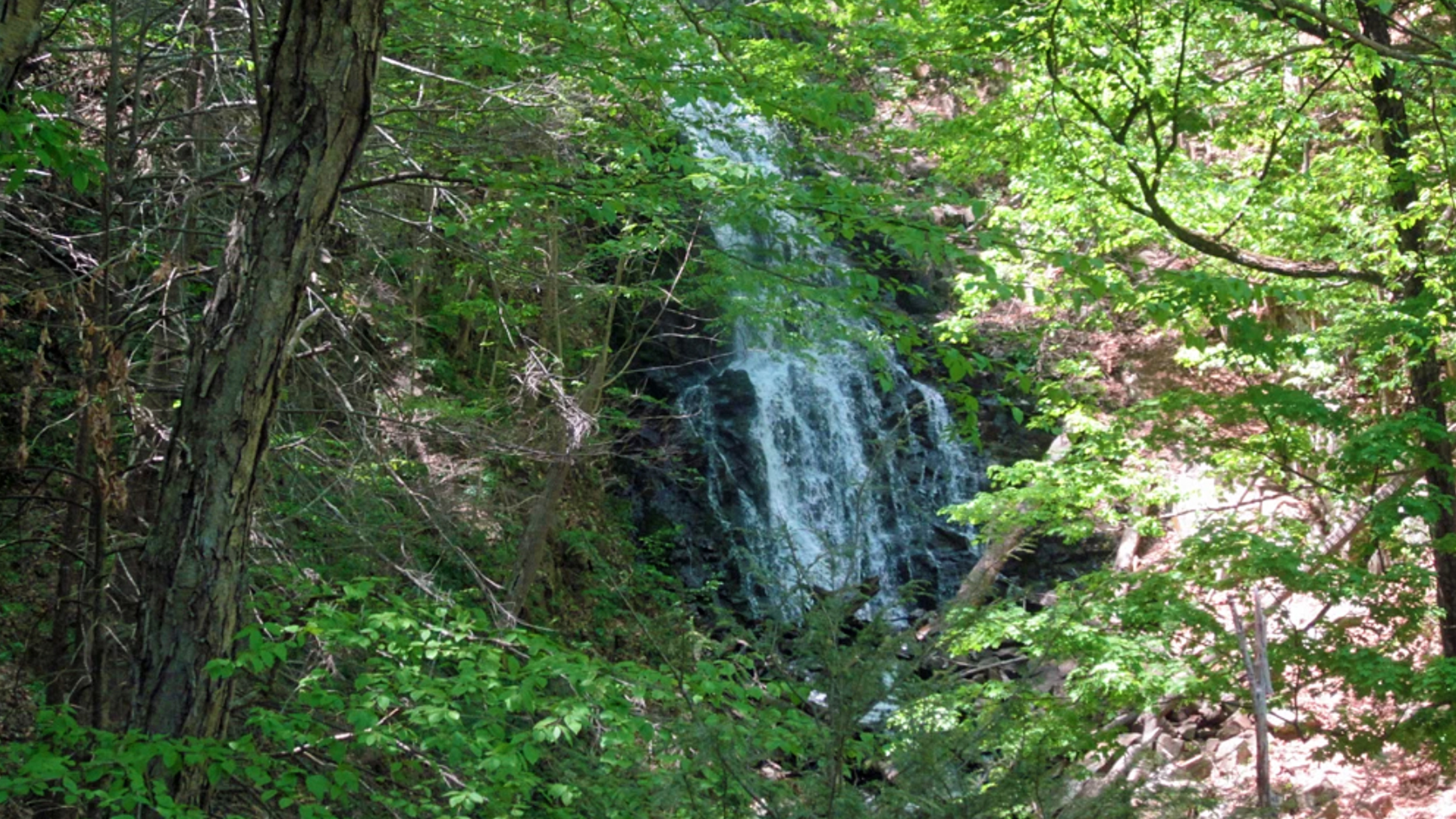 View of the Roaring Brook Falls waterfall in Cheshire, Connecticut