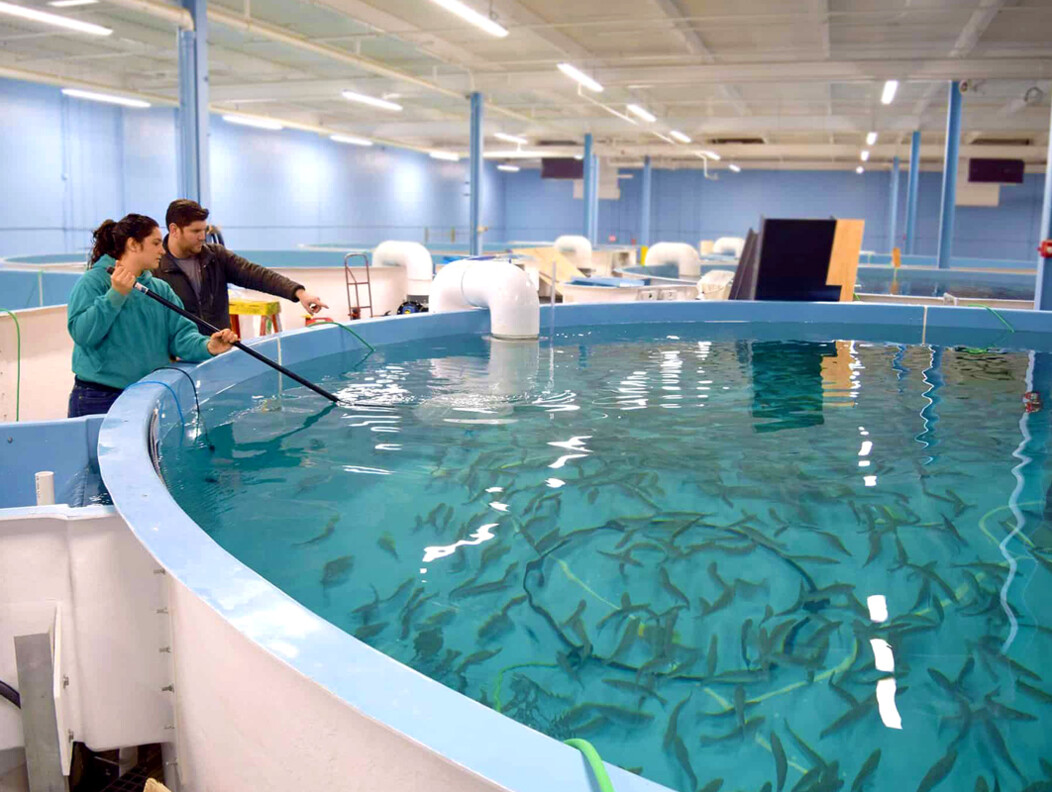 waterbury_ct_food_production_ideal_fish_farm.jpg