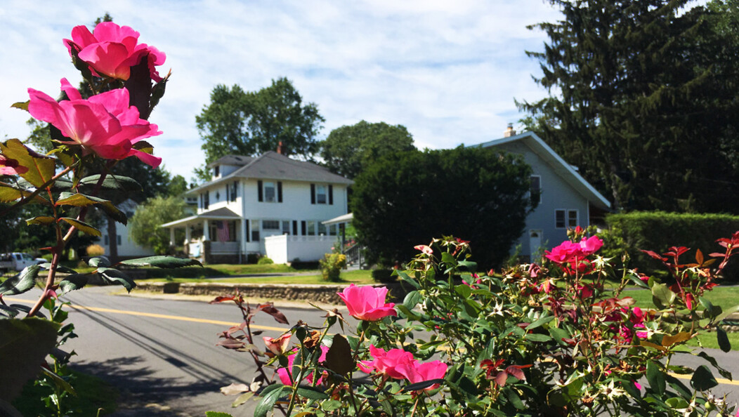 A white house and garden flowers in Waterbury, Connecticut.