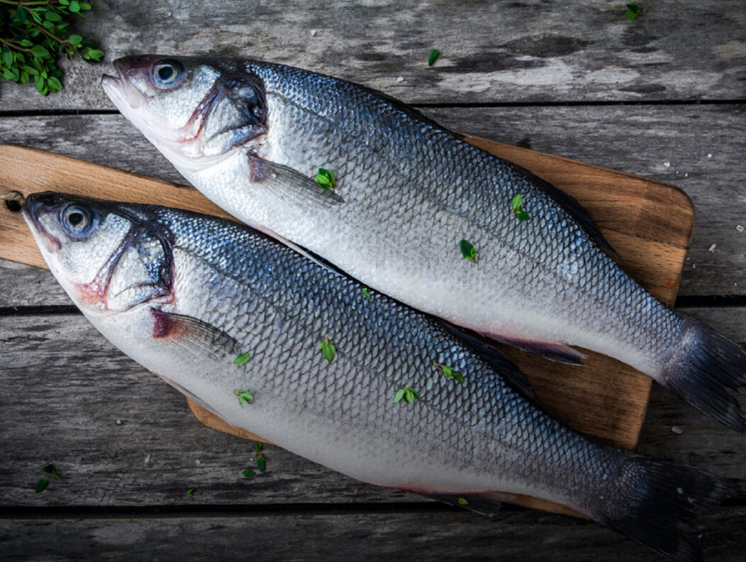 waterbury_ct_food_production_ideal_fish_branzino.jpg